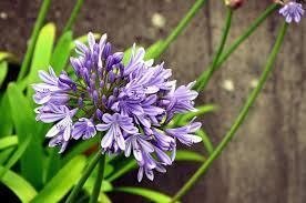 images (12)