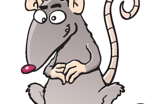 rat LES RATS DES LABORATOIRES REMERCIENT LES GENS AYANT ACCEPTE 3 INJECTIONS EXPÉRIMENTALES D’AVOIR PRIS LEUR PLACE.